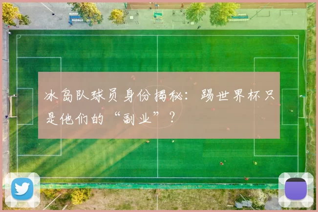 冰岛队球员身份揭秘:踢世界杯只是他们的“副业”?
