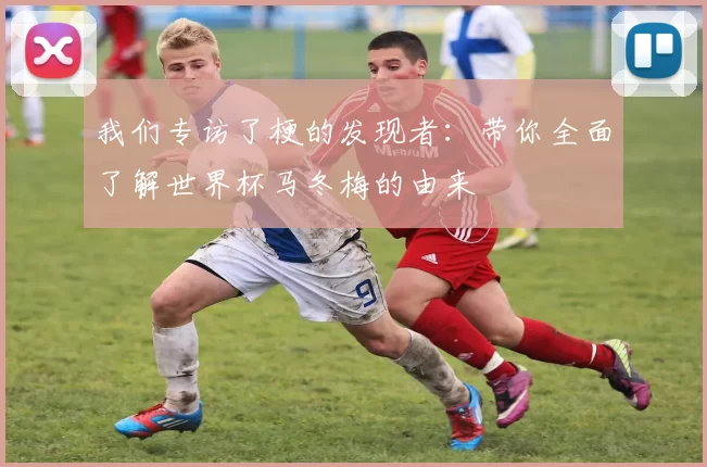我们专访了梗的发现者:带你全面了解世界杯马冬梅的由来