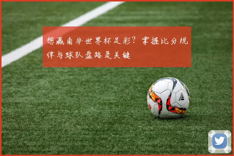 想赢南非世界杯足彩?掌握比分规律与球队盘路是关键