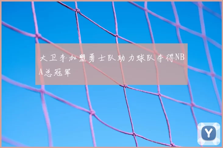 大卫李加盟勇士队助力球队夺得NBA总冠军