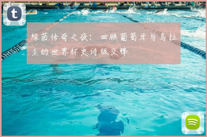 绿茵传奇之夜:回顾葡萄牙与乌拉圭的世界杯史诗级交锋