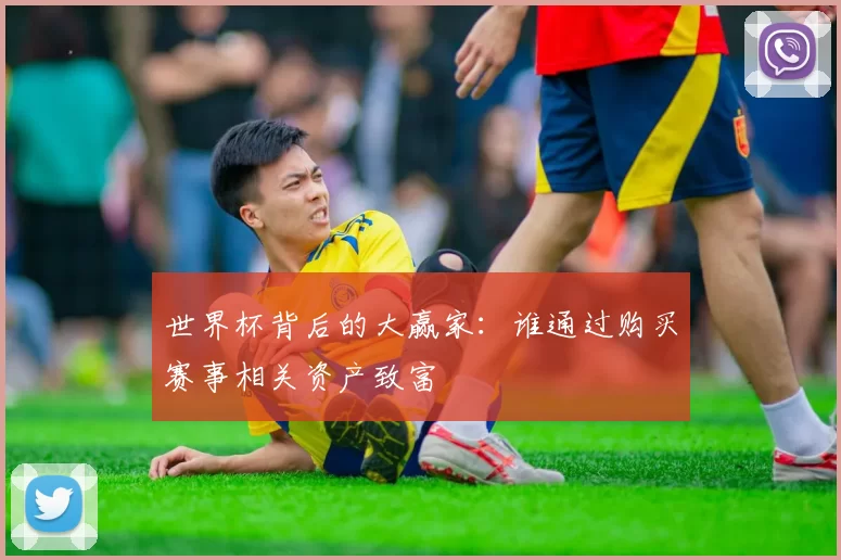 世界杯背后的大赢家：谁通过购买赛事相关资产致富