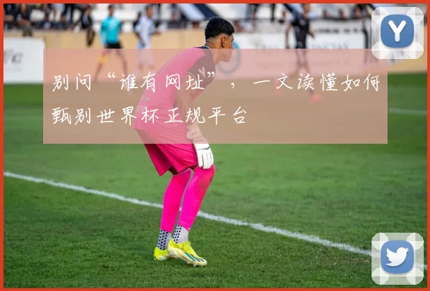 别问“谁有网址”,一文读懂如何甄别世界杯正规平台