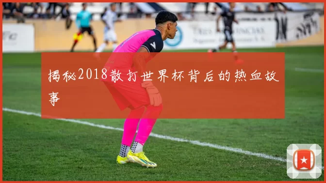 揭秘2018散打世界杯背后的热血故事