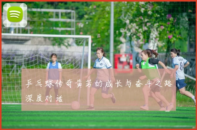 乒乓球传奇黄芳的成长与奋斗之路深度对话