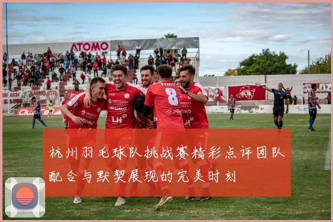 杭州羽毛球队挑战赛精彩点评团队配合与默契展现的完美时刻
