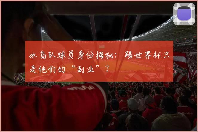 冰岛队球员身份揭秘:踢世界杯只是他们的“副业”?