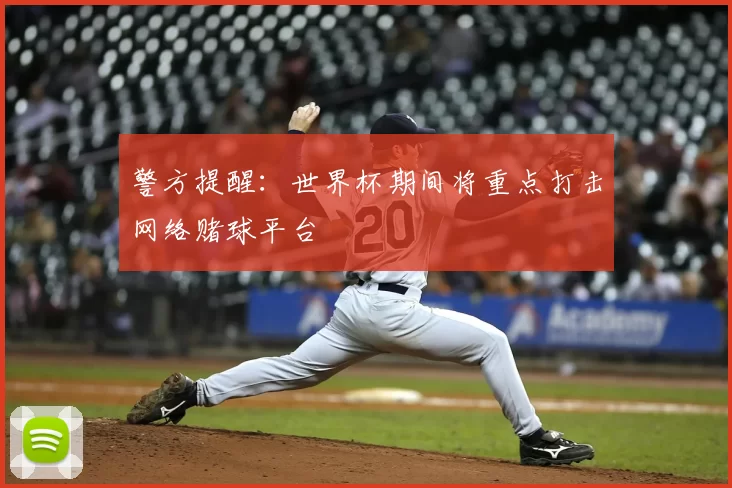 警方提醒：世界杯期间将重点打击网络赌球平台