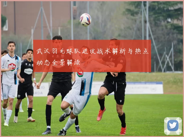 武汉羽毛球队进攻战术解析与热点动态全景解读