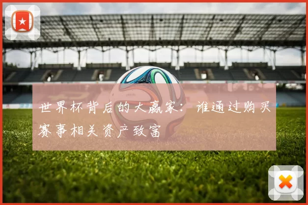 世界杯背后的大赢家:谁通过购买赛事相关资产致富