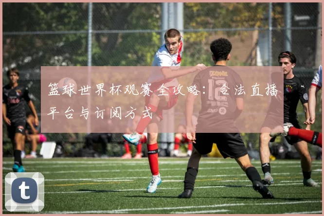 篮球世界杯观赛全攻略：合法直播平台与订阅方式