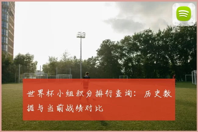 世界杯小组积分排行查询:历史数据与当前战绩对比