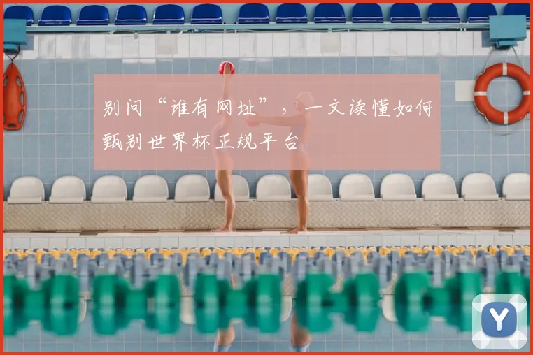 别问“谁有网址”，一文读懂如何甄别世界杯正规平台